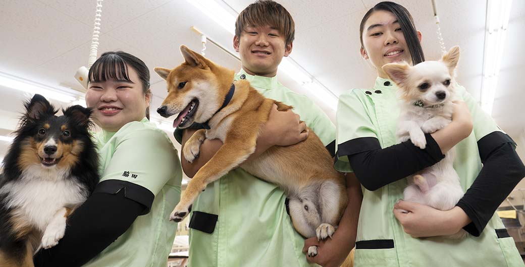 Yic京都ペット総合専門学校 アクセス日本留学 外国人学生 留学生 のための日本留学情報